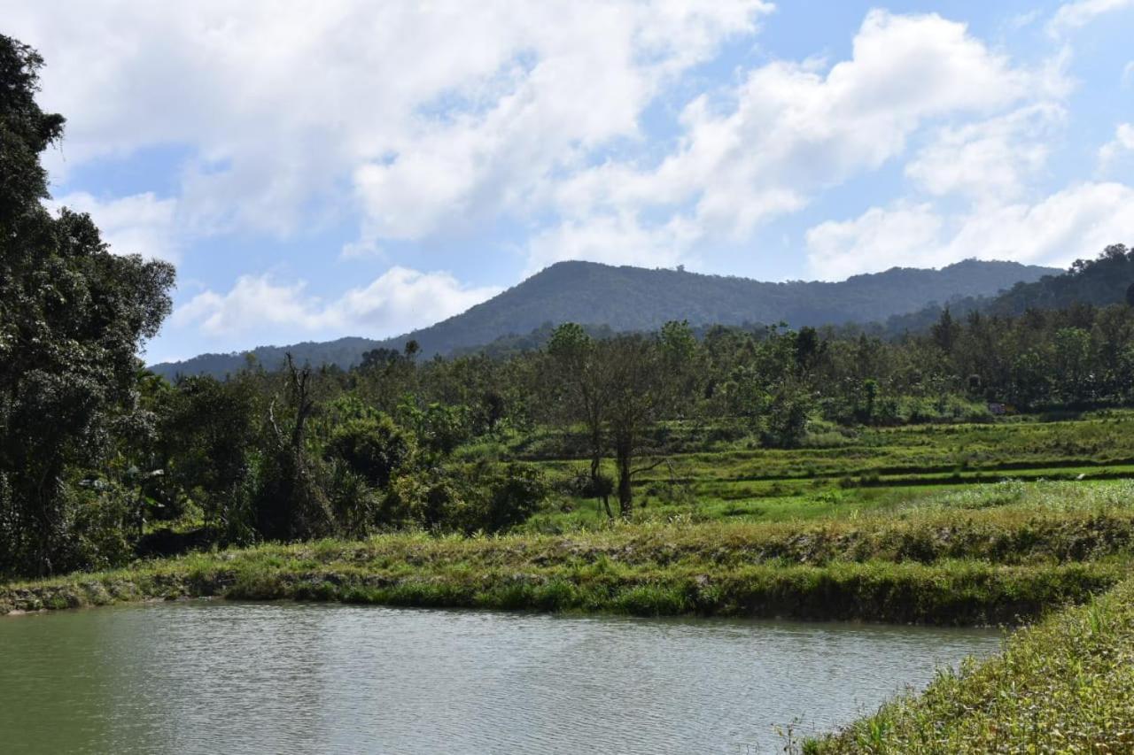 Camp Coorg Daire Madikeri Dış mekan fotoğraf