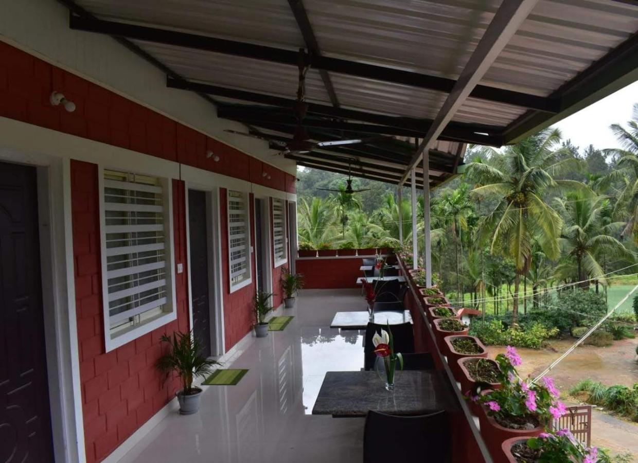 Camp Coorg Daire Madikeri Dış mekan fotoğraf